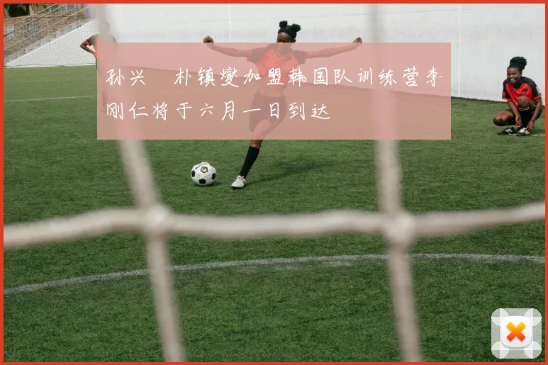 孙兴慜朴镇燮加盟韩国队训练营李刚仁将于六月一日到达